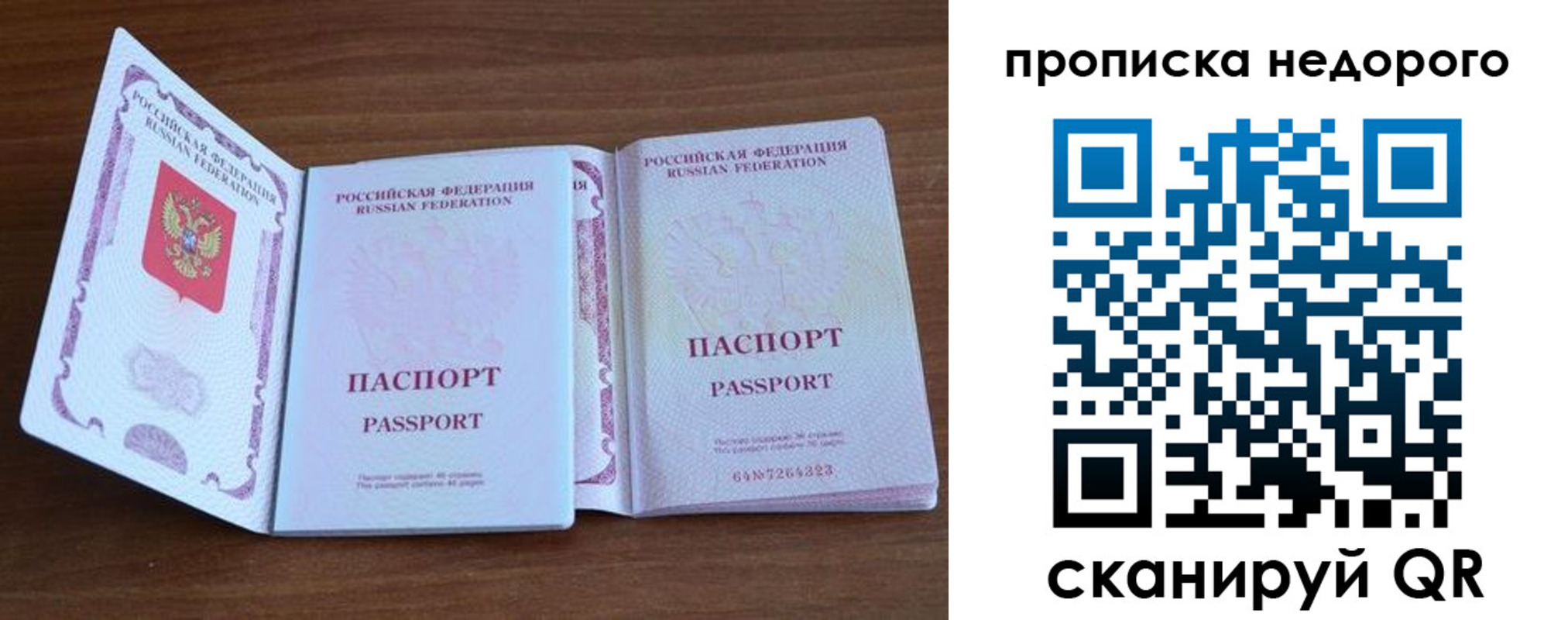 прописка поиск в Ногинске